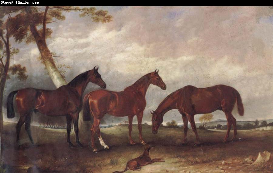 unknow artist Some Horses